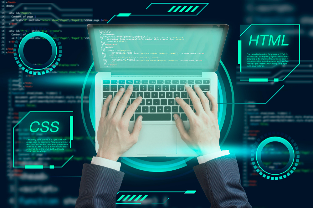 How to Choose the Right WordPress Developer for Your Business